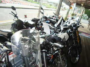 DSC06604